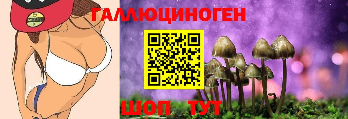 Югорск  Галлюциногенные грибы мухоморы  Вход с VPN 